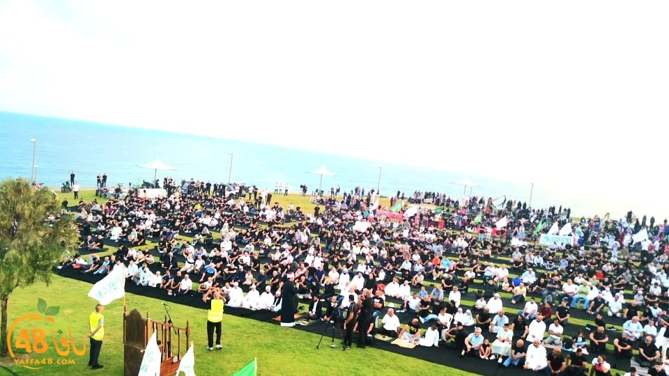 WhatsApp Image 2023-06-28 at 11.33.55 AM.jpeg